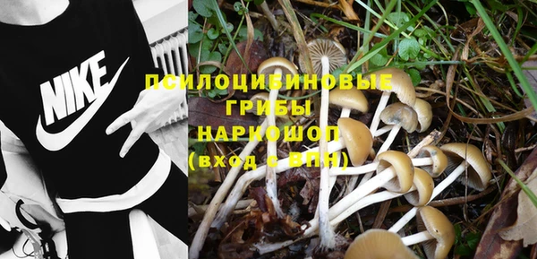 прущие крисы Россошь