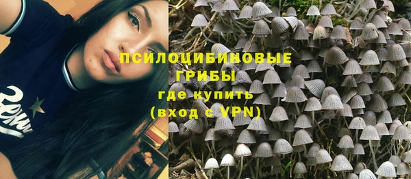 СК Балахна