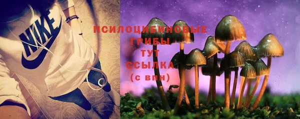 СК Балахна